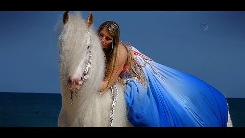 NEVER LET GO - Omar Akram