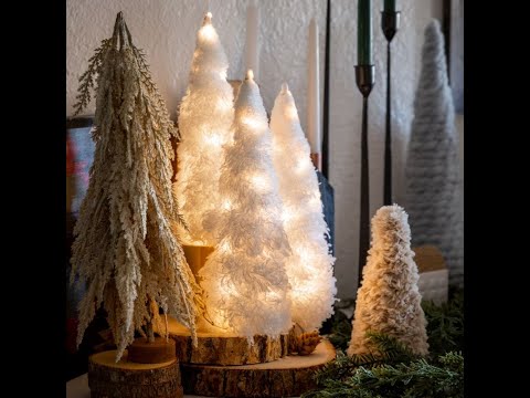 Video: Feather Duster Tree -tiedot: Lisätietoja brasilialaisen höyhenpuuhun hoidosta