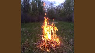 Famous Someone`s Calling Net Worth