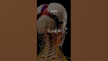 سورة الرحمن… أكتب شيء لآخرتك✍🏻♡|#قرآن #تلاوة_خاشعة #احمد_العجمي #راحة_نفسية #تابعوني #اكسبلور #لايك