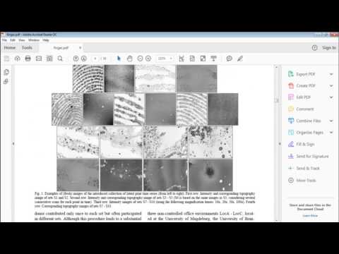 Fingerprint Age Estimation Matlab Code Projects