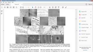 Famous Fingerprint Age Estimation Matlab Code Projects Profile