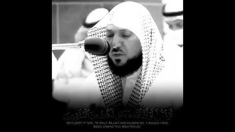 أَنْ تَقُولَ نَفْسٌ يَا حَسْرَتَا عَلَى مَا فَرَّطْتُ | سورة الزمر | الشيخ د. ماهر المعيقلي