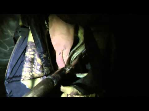 Рыбалка на острогу. Gigging.avi