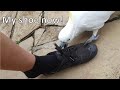 Bitey cockatoo steals my shoe right off my foot! (sound on)