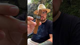Is This The Best Budget Stick? 👏 | #cigars #shorts #short Resimi