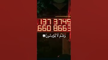 #ماهر_المعيقلي #تلاوات #آيات #القرآن_الكريم #قرآن #تلاوة #قران_كريم #قران #القرآن #قرآن_كريم #quran