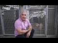 Cesar millan how to pick the best shelter pet for you  zapposcom