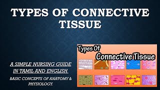 TYPES OF CONNECTIVE TISSUE (TAMIL).