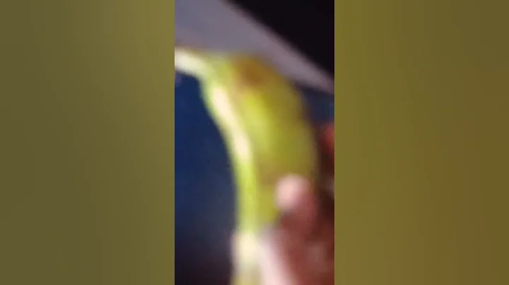 MOTO G64 5G DIM 7025+ 50 MO (OIS) +6000 MAH+33W FAST CHARGING+120HZ IPS LCD FHD+  DISPLAY UNDER 15K.