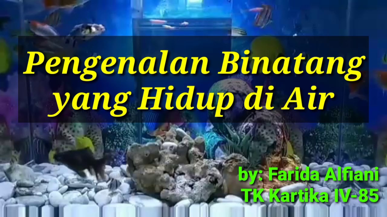 Pengenalan binatang  yang  hidup  di air YouTube