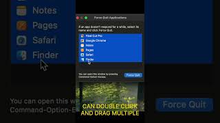 How To Force Quit Apps on Mac