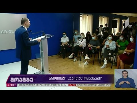 ბრიფინგი „ქართულ ოცნებაში“