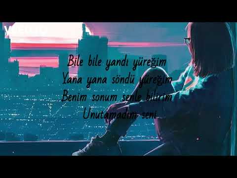 Bile Bile Yandı Yüreğim / Sevgim Yılmaz (Lyrics)