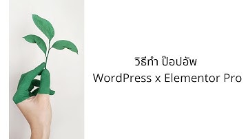 วิธีการทำ popup ใน wordpress ด้วย Elementor Pro เอาไว้ใช้ทำ popup PDPA ได้