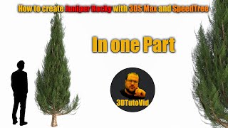 How to create Juniper Rocky Tree with 3DS Max and corona and SpeedTree