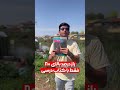 اخه با این زبالع میشه به درصد بالا رسید شیشه نکشید