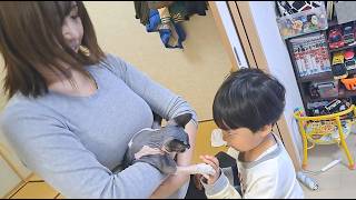 ぴーのこ こんこん 元気の子♪