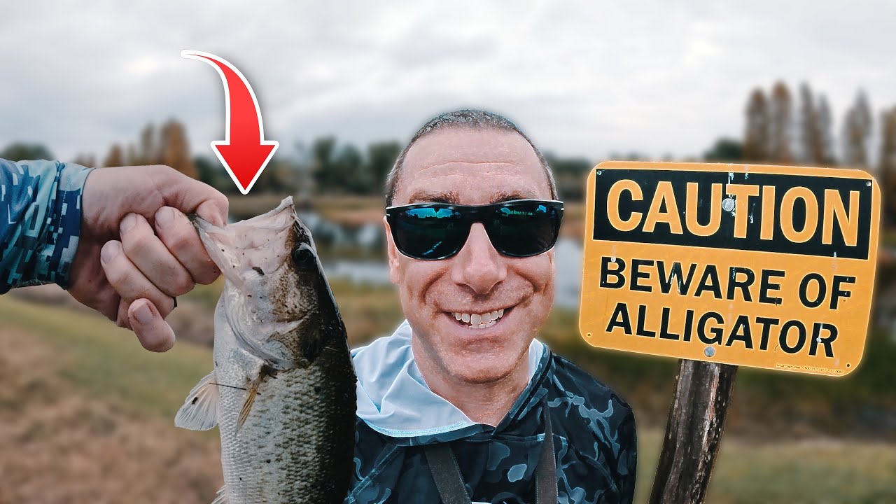 Bass Fishing in Brandon Florida! Use THIS Bait