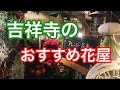 【ライブ】吉祥寺のおすすめ花屋５選！＠吉祥寺の花屋「花心」