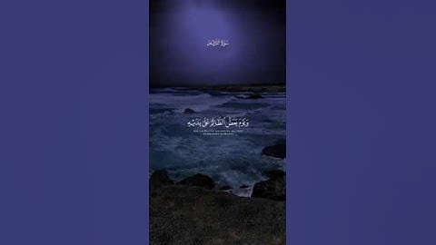 سورة الفرقان آيه ٢٦-٢٧