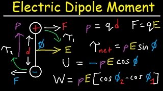 Electric Dipole Moment, Force, Torque, Potential Energy, Work, Electric Field, Physics