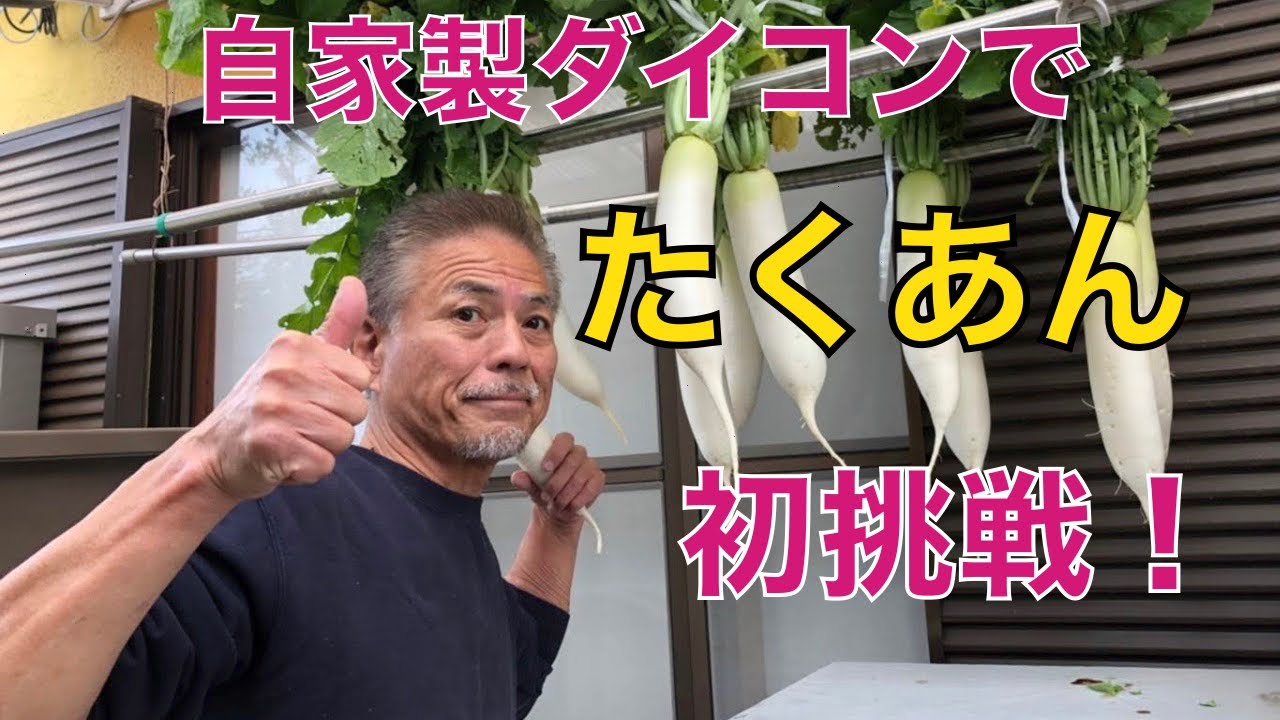 自家製ダイコンで【たくあん】ぬか漬け初挑戦！