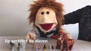Jip Sorteert De Dieren