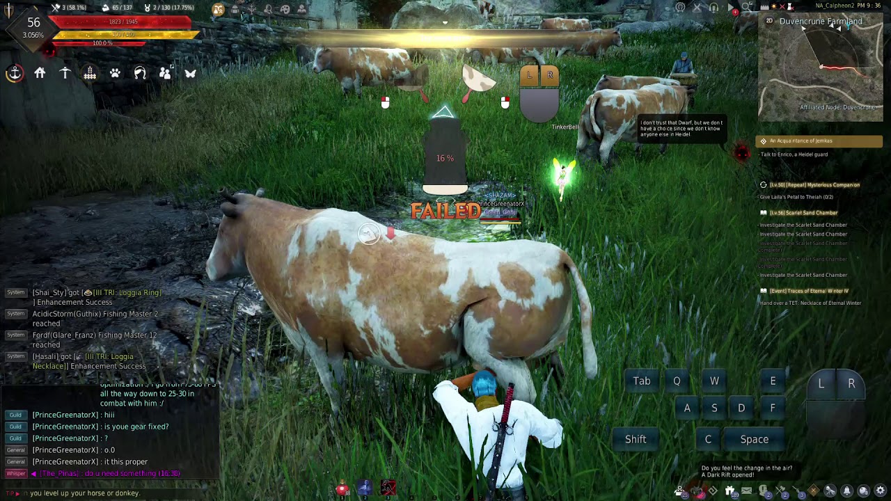 How To Milk Cows In Black Desert Online Bdo Youtube