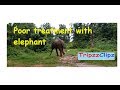 Poor treatment with Elephant, stop animal cruelity