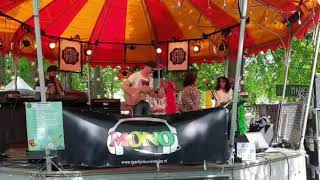 Ronald Van Den Enk - Mono