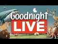 Relaxing stories for naps  bedtime your childs favourite soothing series live