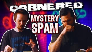 MYSTERY SPAM | Cornered