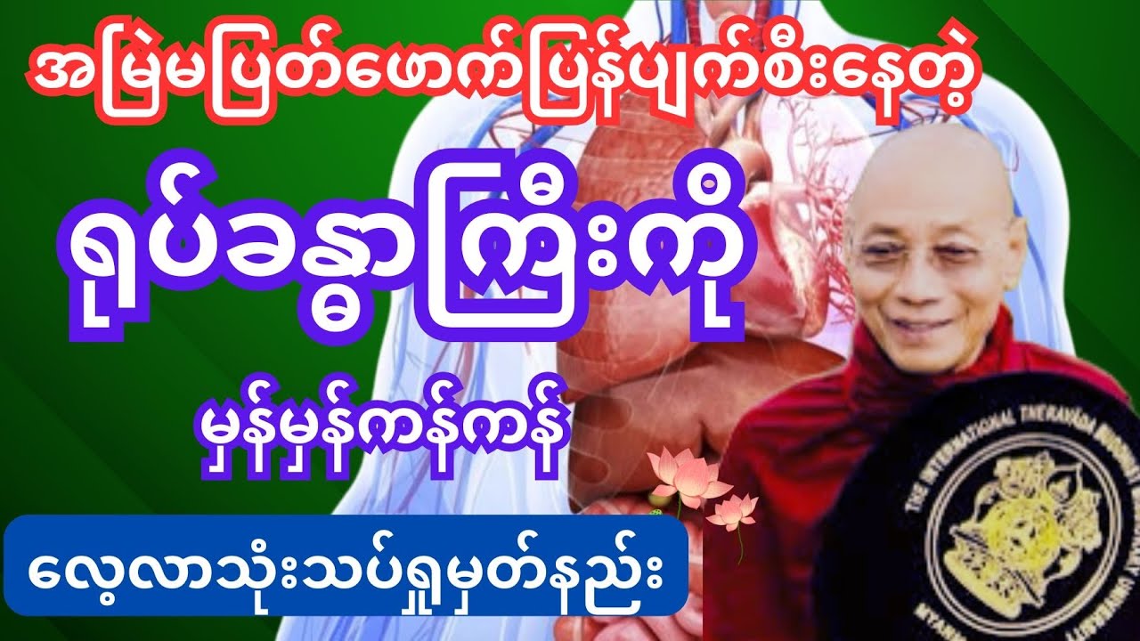 ရုပ်တရားကြီး နည်းစနစ်မှန်မှန်ကန်ကန်ရှုမှတ်ခြင်း