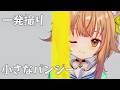 【一発撮り】小さなパンジー歌ってみた【くるこ/curuco (Cover)】