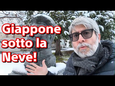 Japan under the snow! - Experience Japan