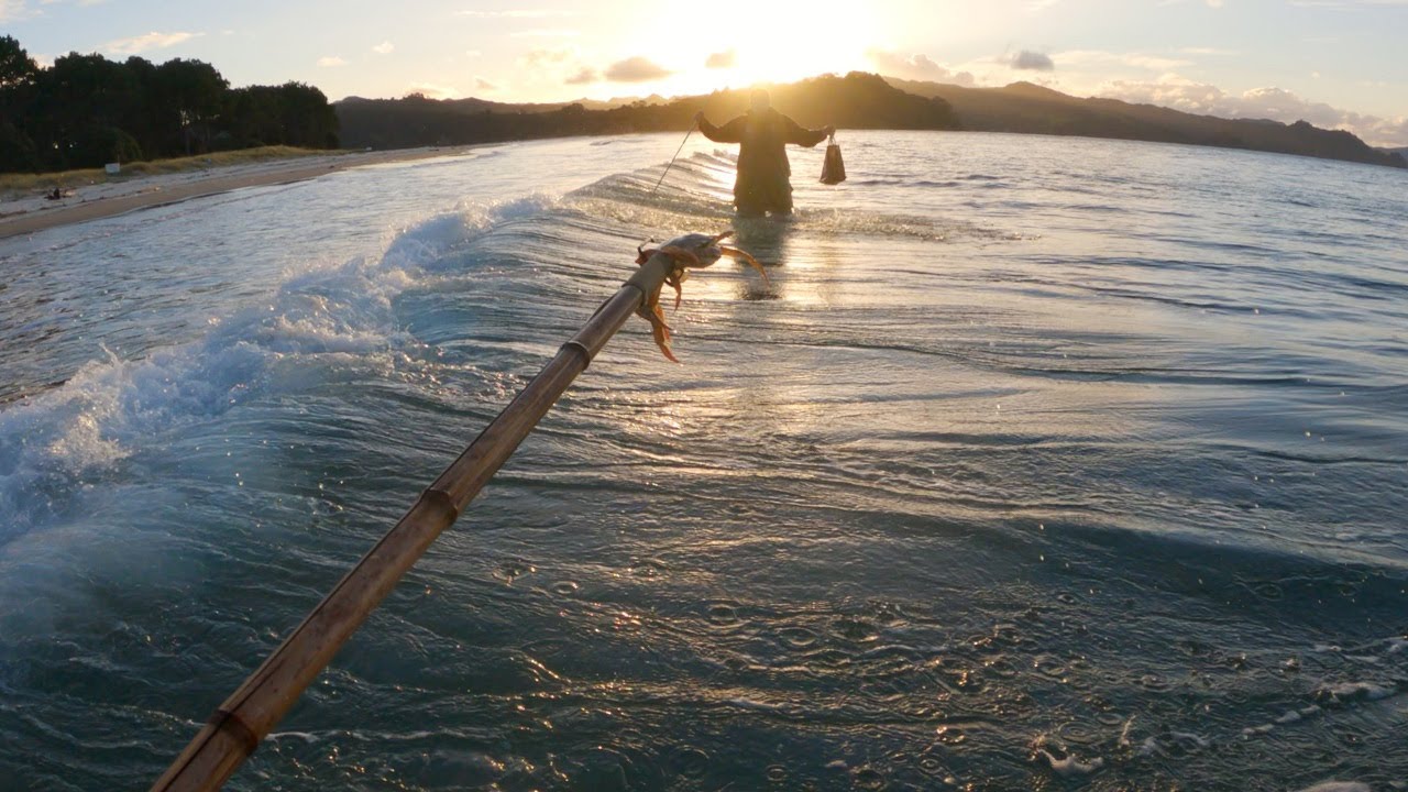 Catch And Cook NZ Paddle Crabs! YouTube