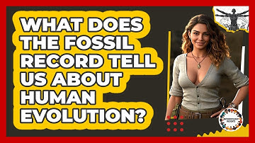 What Does The Fossil Record Tell Us About Human Evolution? - Anthropology Insights