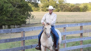 1. Bends and Counter Bends at a Walk (Flex Your Horse