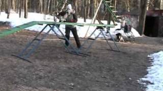 Tika agility training 27.03.2011.avi