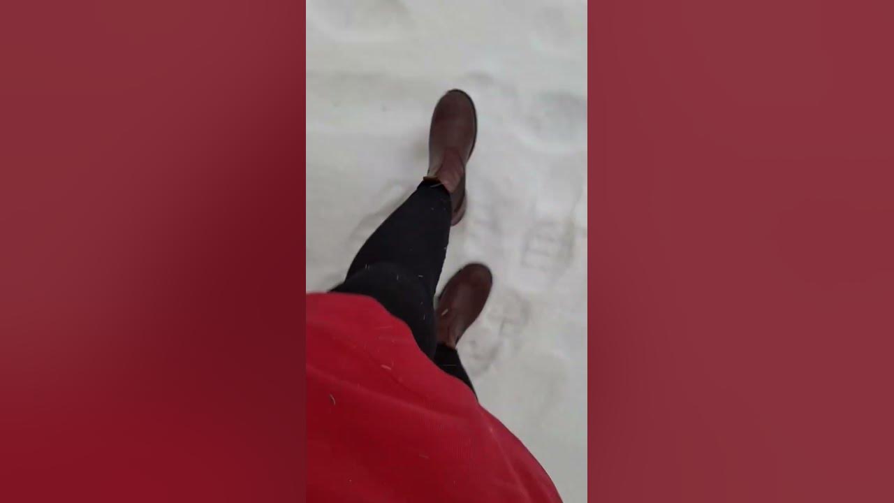 Normal day in Finland #shorts #trending #viral #winter #fypシ #suomi #finnishnature