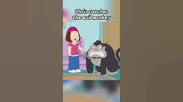 Chris catches the evil monkey