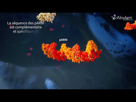 Vidéo Mécanisme d&rsquo;action ARNi