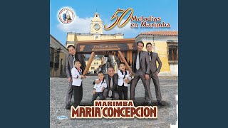 Miniatura de vídeo de "Marimba Maria Concepción - Que Bello"