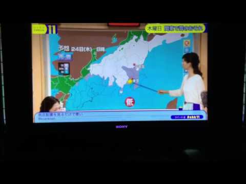 東京に雪だ