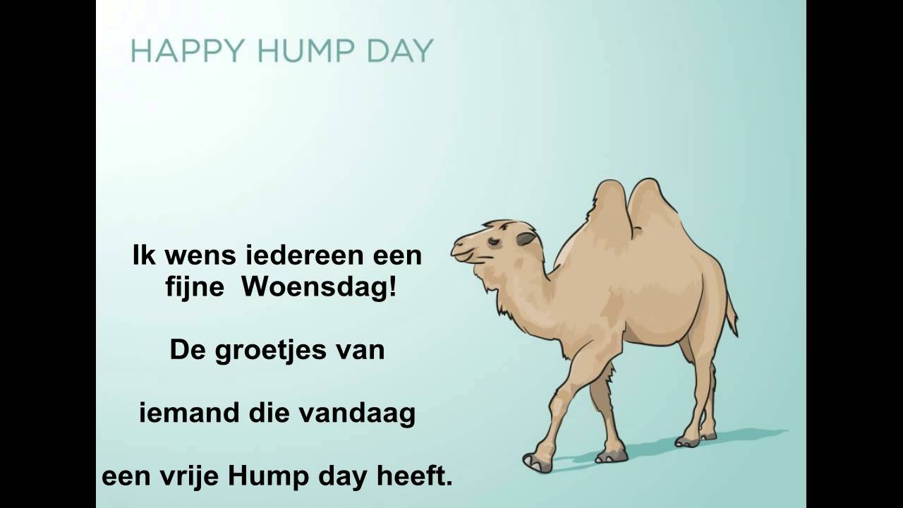 Hump day - YouTube