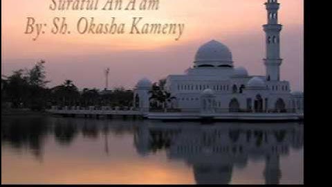 سورة الأنعام بصوت القارئ (عكاشة كميني)