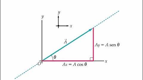 Le componenti cartesiane di un vettore