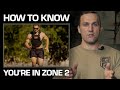 Why You NEED Zone 2 Cardio Workouts Burn Fat With ENDURANCE What Is Zone 2 Cardio 