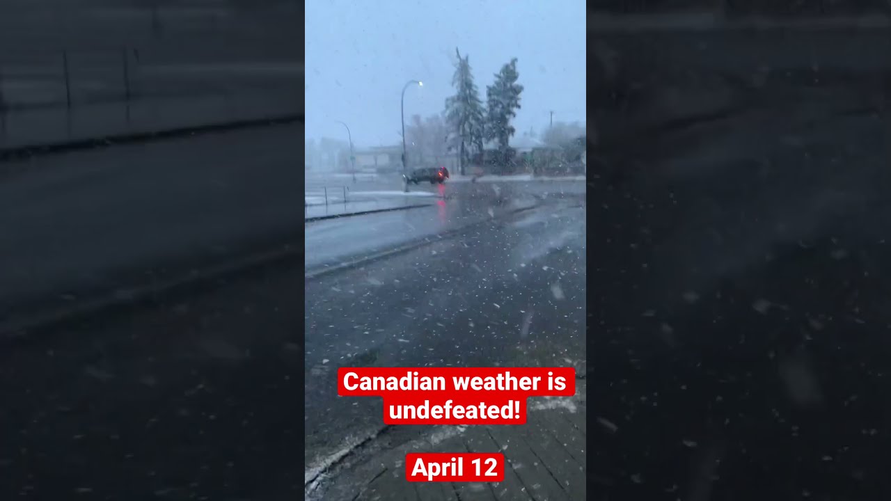 Snowing In April In Canada SMH canada spring YouTube Snowing In April In Canada SMH canada spring YouTube